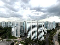 Blk 342A Yishun Natura (Yishun), HDB 4 Rooms #553491511